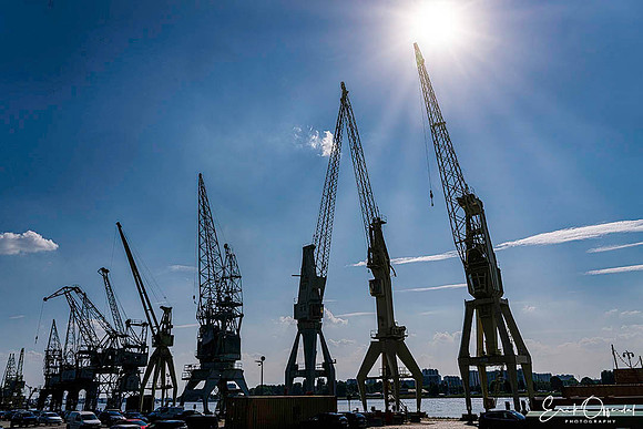 Port cranes, Antwerpen