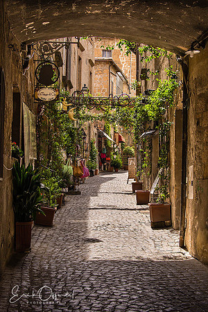 Wizard of Oz workshop, Montepulciano