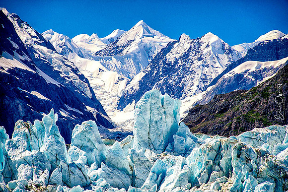 Glacier Bay NP, Alaska