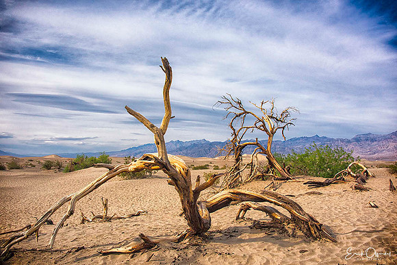 Death ValleyNP, California