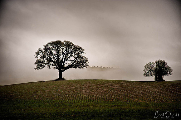 Willamette Valley, Oregon